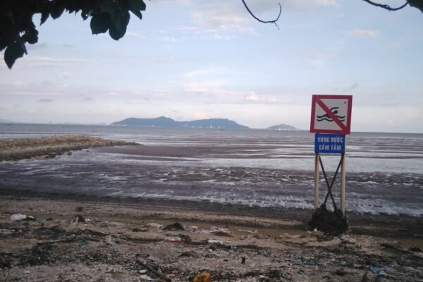 Vinhomes Green Paradise Can Gio