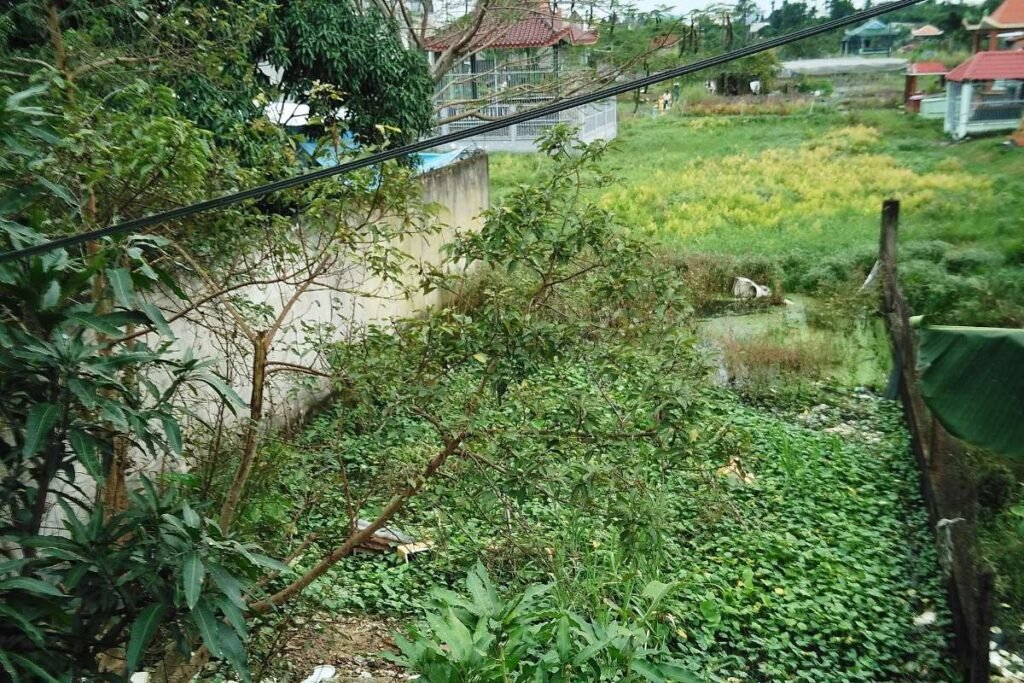 View over Hoc Mon near the Vinhomes Saigon Park township