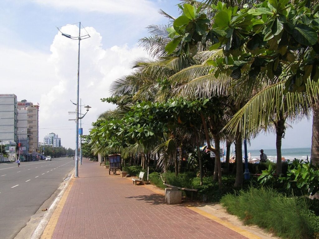 Seafront road with palm trees in Vung Tau