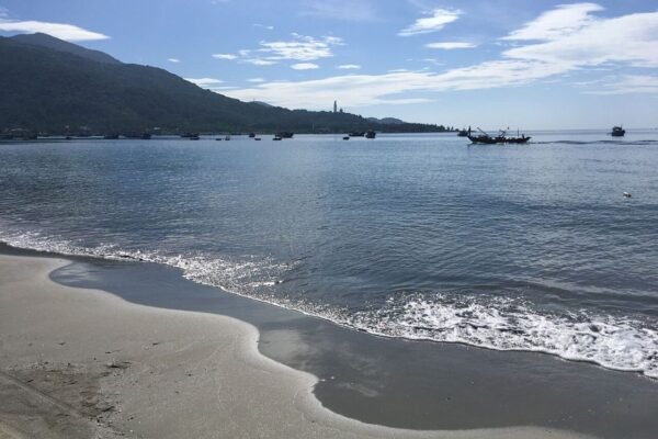 Wyndham Soleil Da Nang 1-bedroom for rent, 55 m² sea and city view
